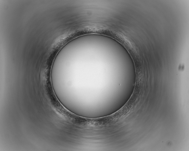 X0000090750736200708101724