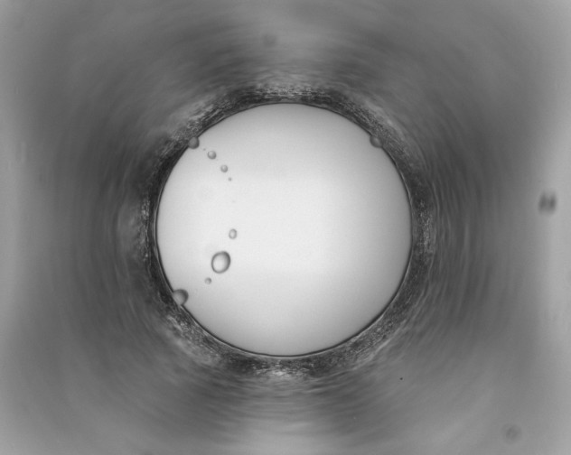 X0000090750737200708101724