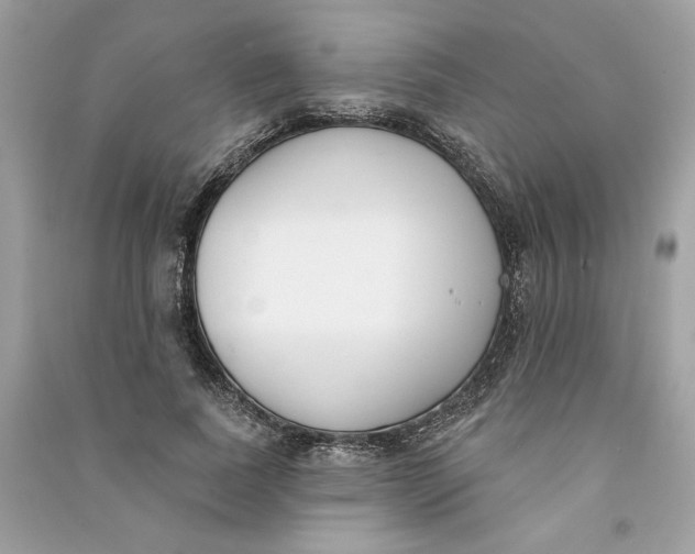 X0000090750739200708101724