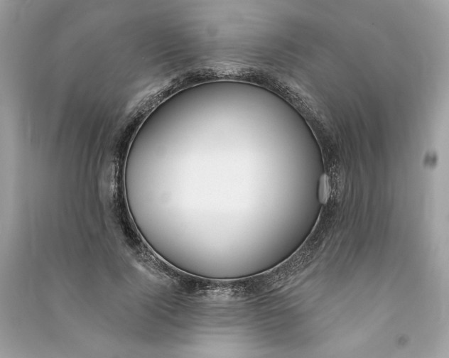 X0000090750740200708101724