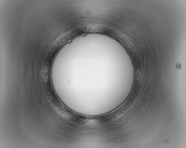 X0000090750741200708101724