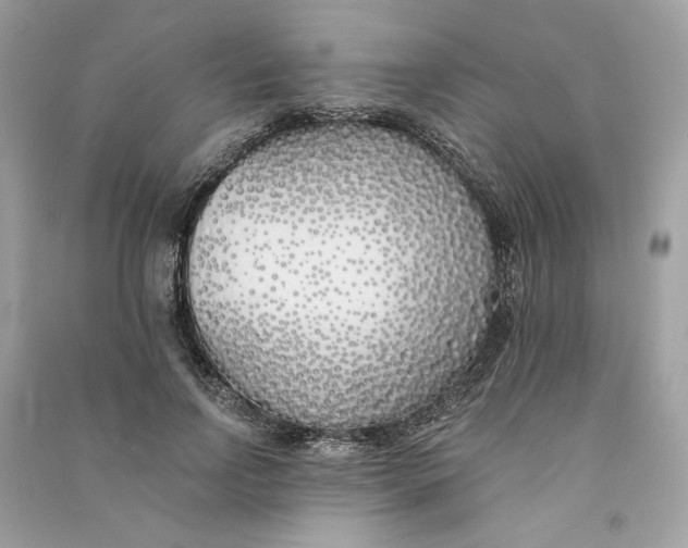 X0000090750742200708101724