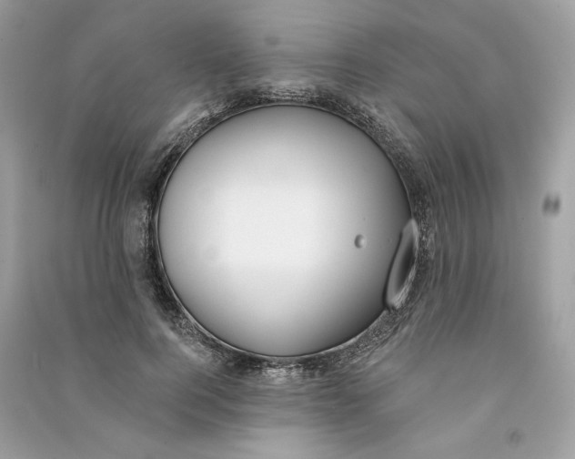 X0000090750744200708101724