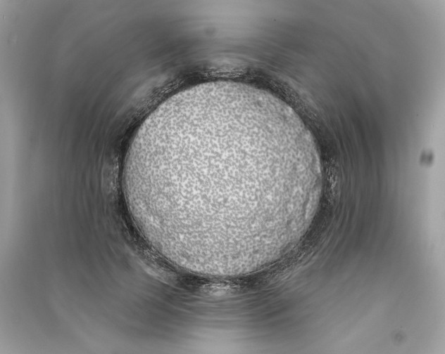 X0000090750745200708101724