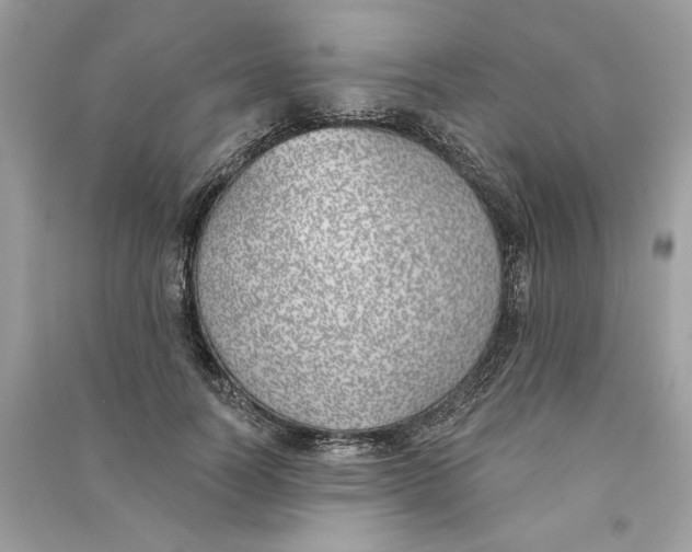 X0000090750746200708101725