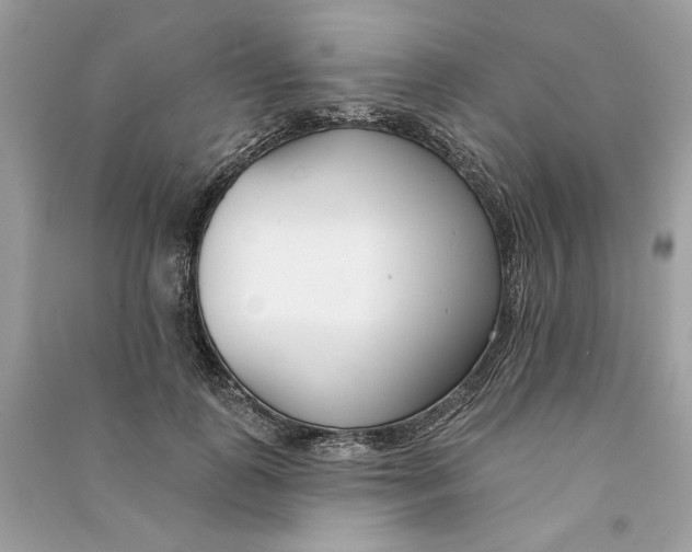 X0000090750747200708101725