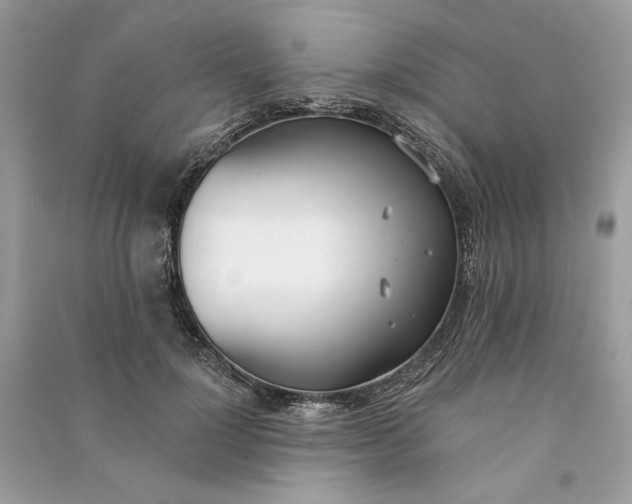 X0000090750748200708101725