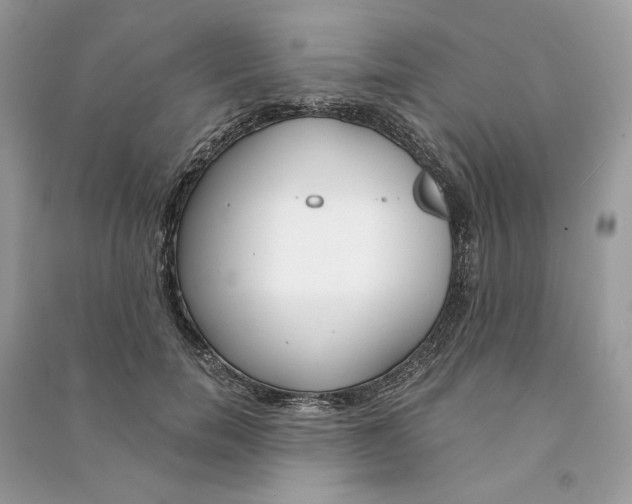 X0000090750750200708101725