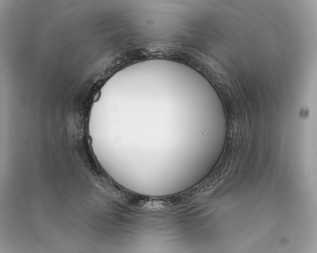 X0000090750751200708101725
