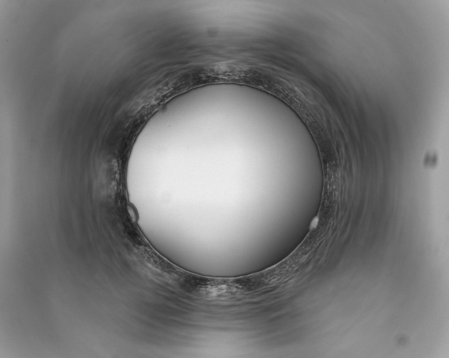 X0000090750752200708101725