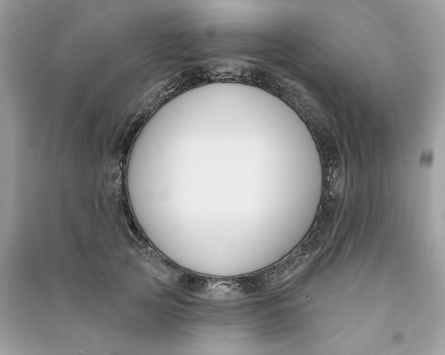 X0000090750753200708101725