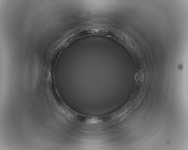 X0000090750754200708101725