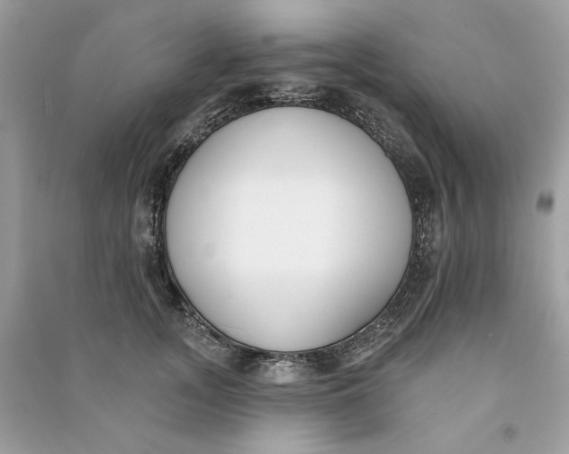 X0000090750755200708101725