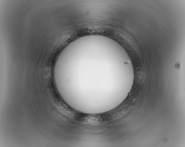 X0000090750756200708101725