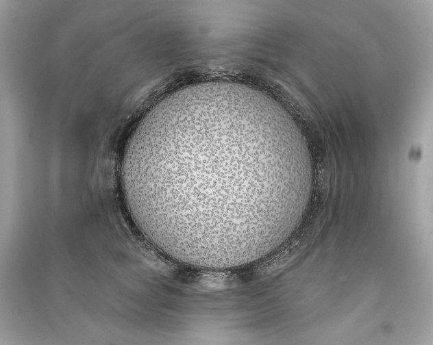 X0000090750757200708101725