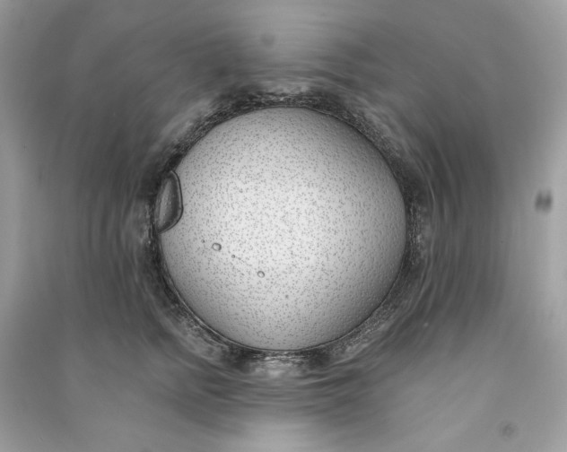 X0000090750758200708101725