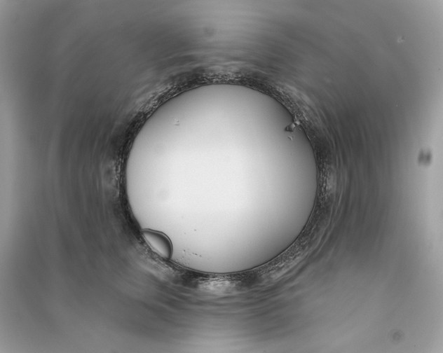 X0000090750759200708101725