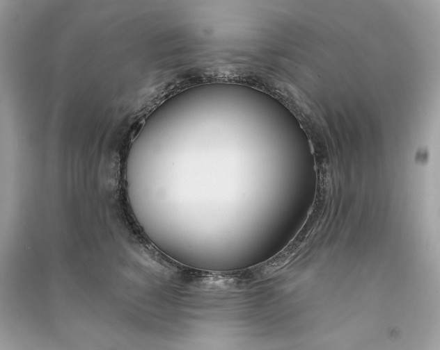 X0000090750760200708101725