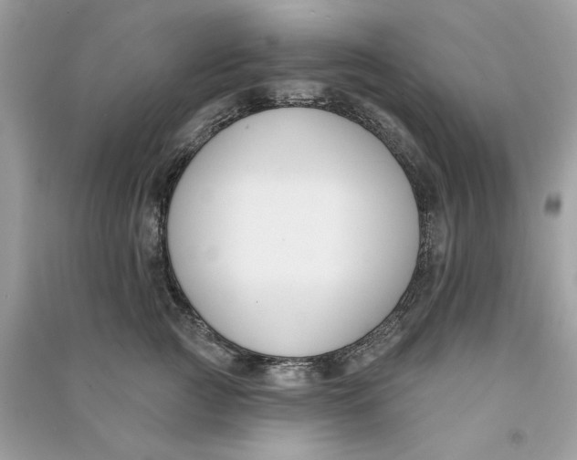 X0000090750761200708101725