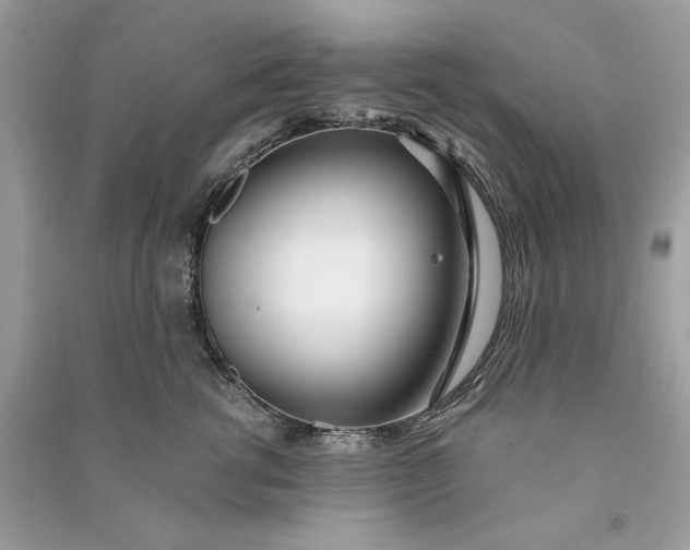 X0000090750762200708101725