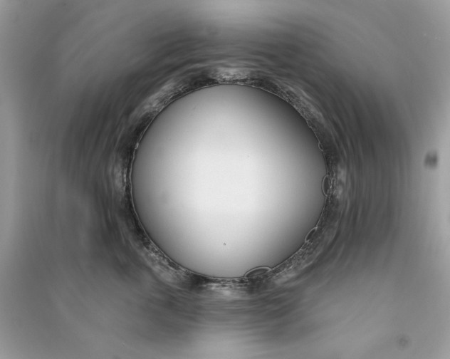 X0000090750763200708101725