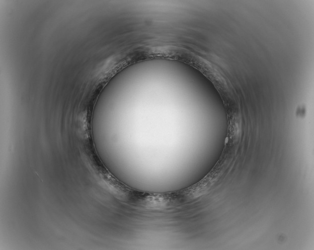 X0000090750764200708101725