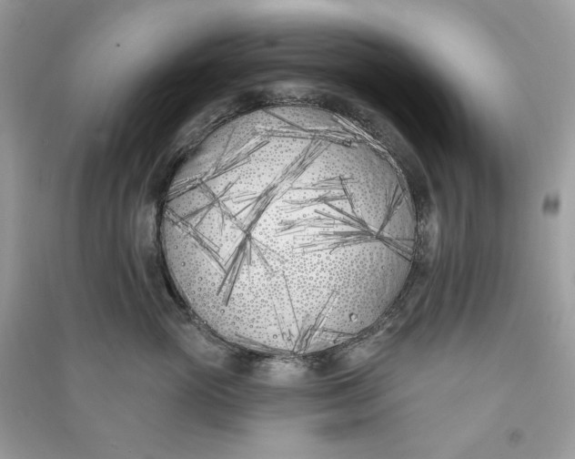 X0000090750765200708101725