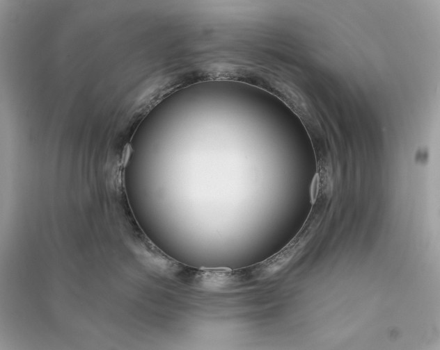 X0000090750766200708101725