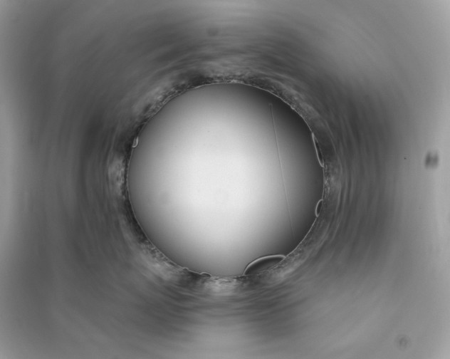 X0000090750767200708101725