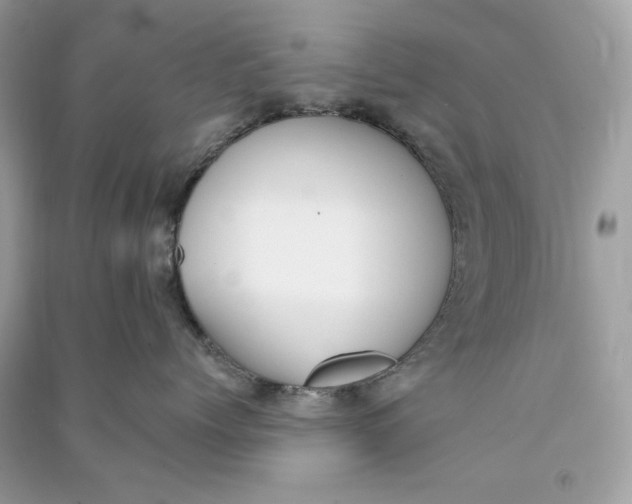 X0000090750768200708101725