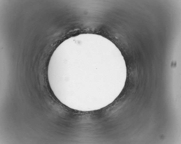 X0000090750769200708101724