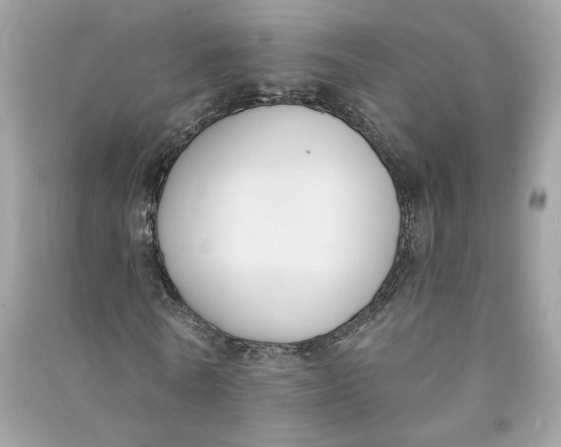 X0000090750770200708101724