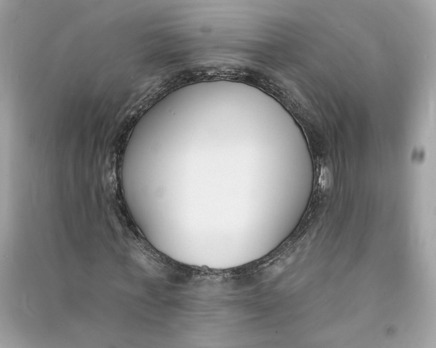 X0000090750771200708101724