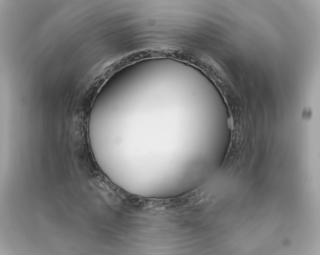 X0000090750773200708101724