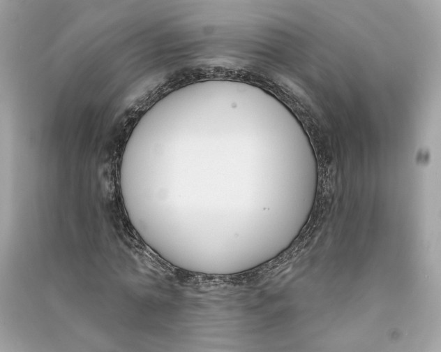 X0000090750774200708101724