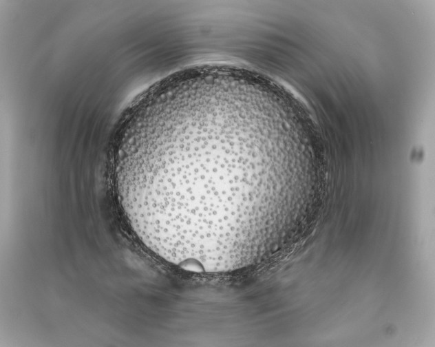 X0000090750775200708101724