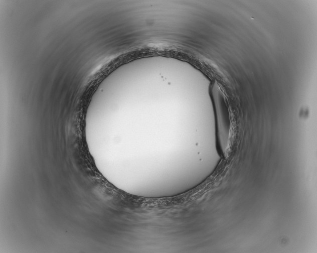 X0000090750776200708101724