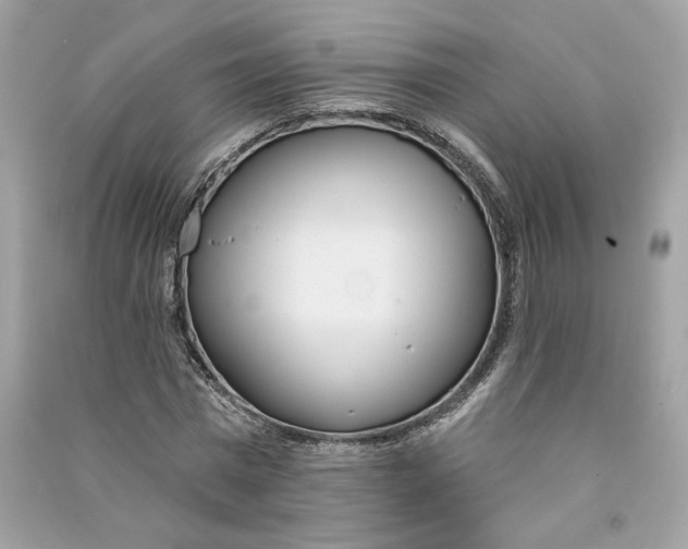 X0000090750777200708101724