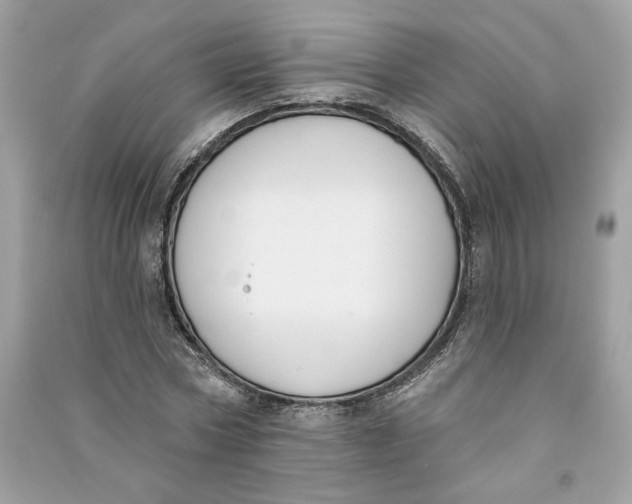 X0000090750778200708101724