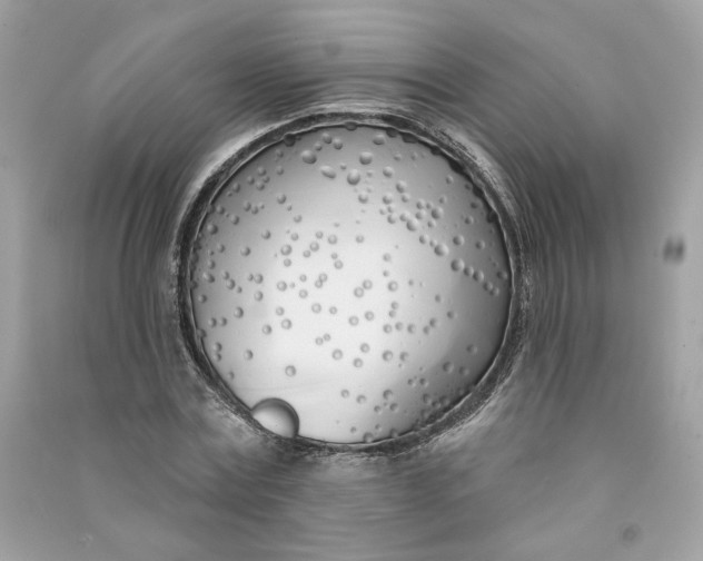 X0000090750779200708101724