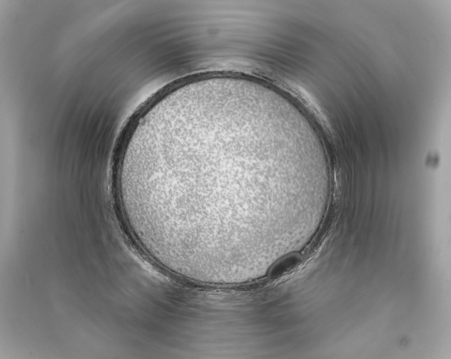 X0000090750780200708101724