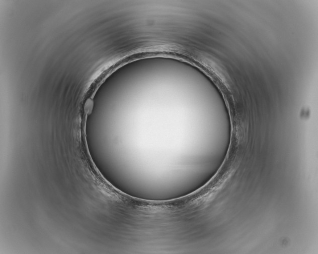 X0000090750781200708101724