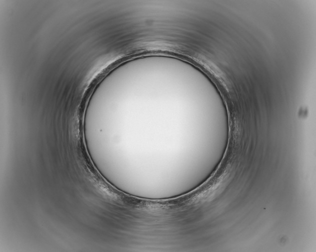 X0000090750782200708101724