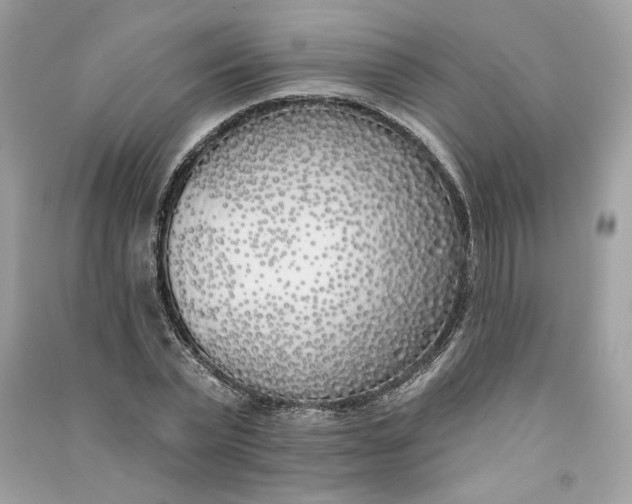 X0000090750783200708101724