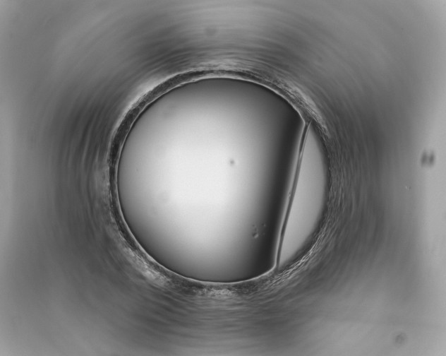 X0000090750784200708101724