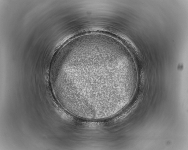 X0000090750785200708101724