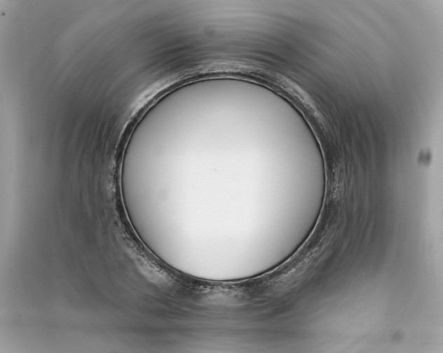 X0000090750786200708101724