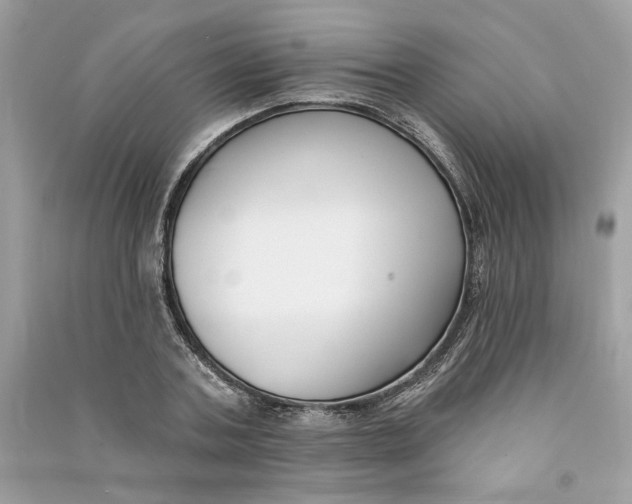 X0000090750787200708101724