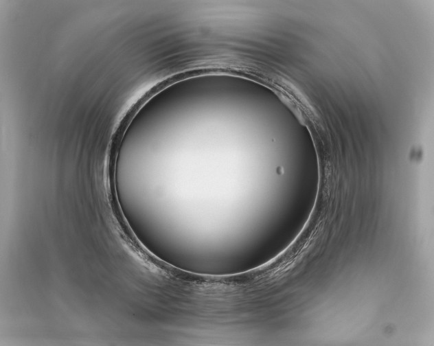 X0000090750788200708101724