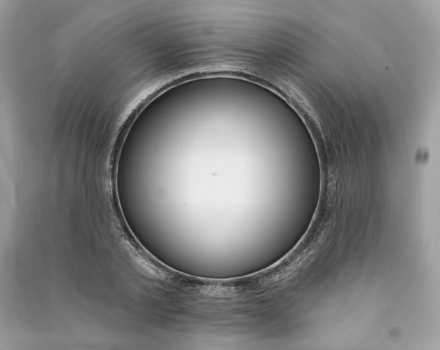 X0000090750789200708101724